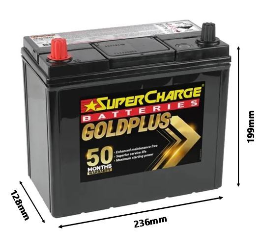 GOLD PLUS JAPANESE 12V 490CCA PENCIL TERMINALS - MF55B24R