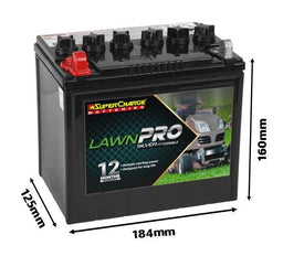 LAWN & GARDEN 12V 250CCA POSITIVE LEFT - N06