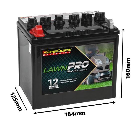 LAWN & GARDEN 12V 250CCA POSITIVE LEFT - N06