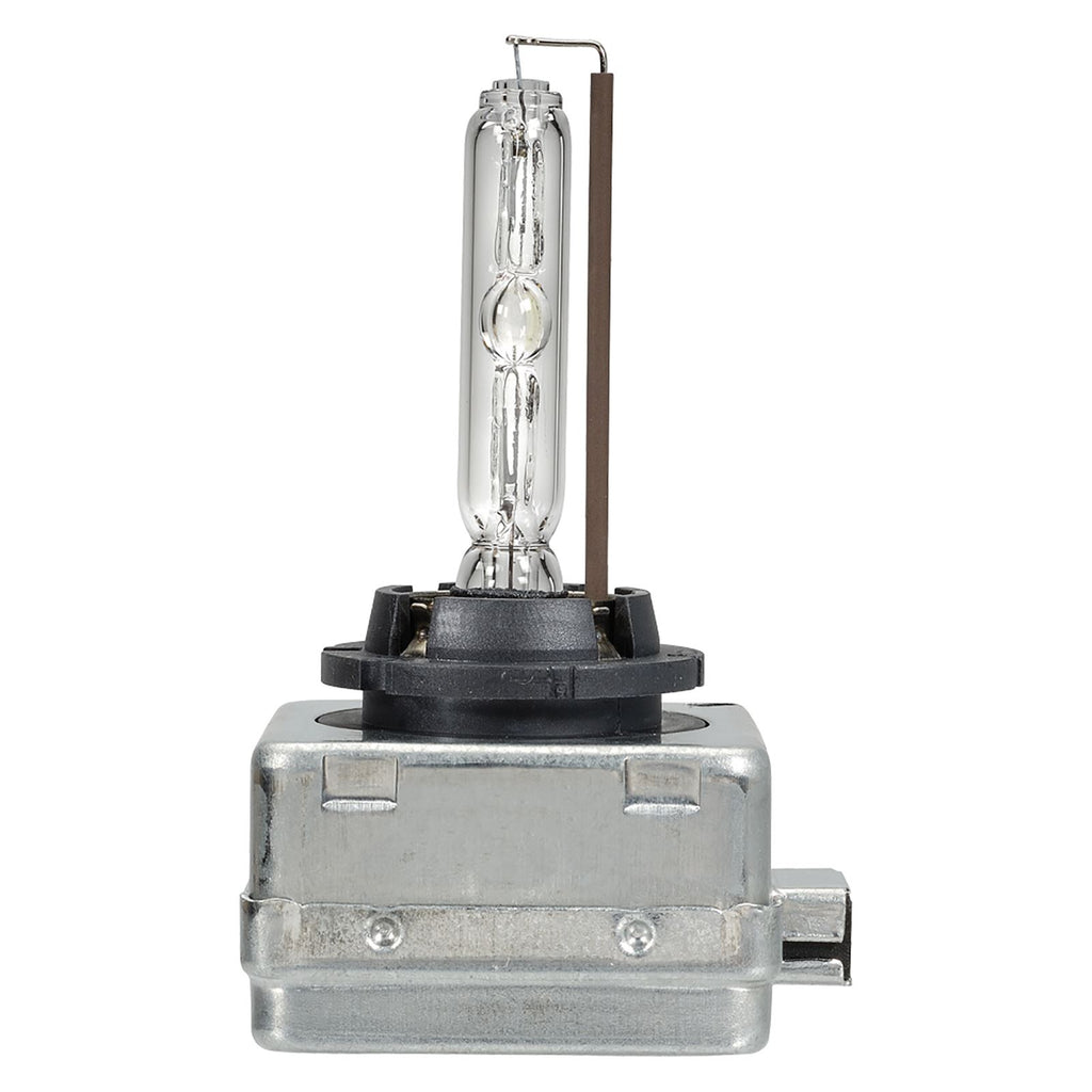 12/24V D1S 35W HID GLOBE BL1 - 49304BL