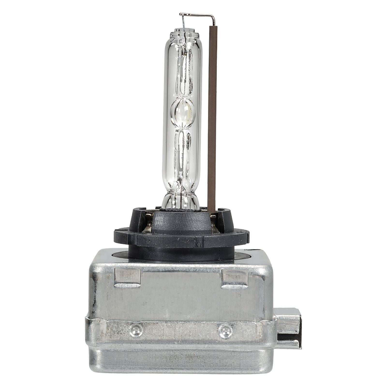 12/24V D1S 35W HID GLOBE BL1 - 49304BL
