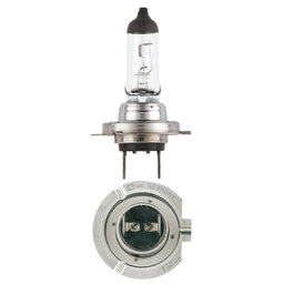 24V H7 70W PLUS 100 LONG LIFE HEADLIGHT GLOBES (1) - 48730BL