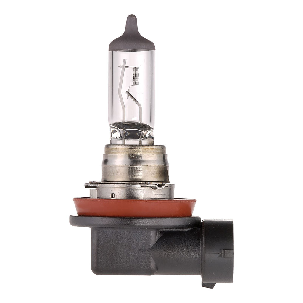 H11 12V 55W EVERLIFE HALOGEN HEADLIGHT GLOBE (1) - 48079BL
