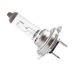 QH GLOBE H7 12972 PR 12V 55W PX26D BOX 1 - 12972PR