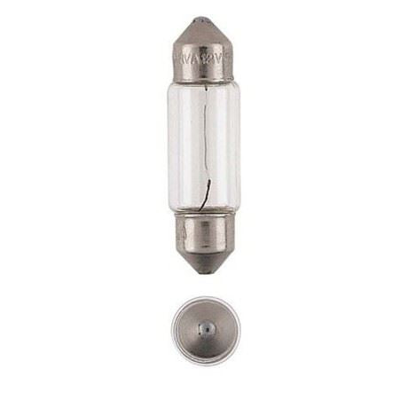 GLOBE FESTOON 12V 10W - 173161