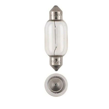 GLOBE PREM FESTOON 24V 21 - 176471
