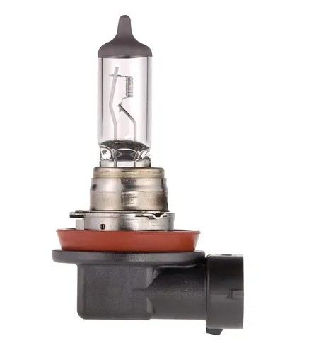 H11 12V 55W EVERLIFE HALOGEN HEADLIGHT GLOBE (1) - 48079BL
