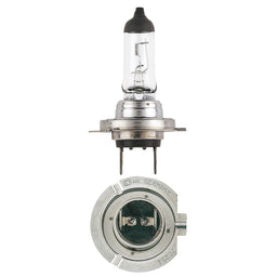 H7 24V 70W 24V PLUS 100 BL(2) QH GLOBE - 48730BL2