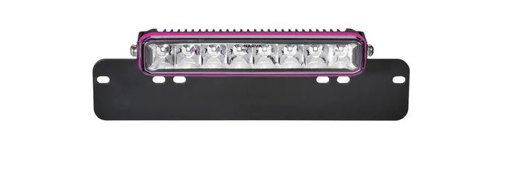 EX2 LIGHTBAR LICENCE PLATE 10" - 72833