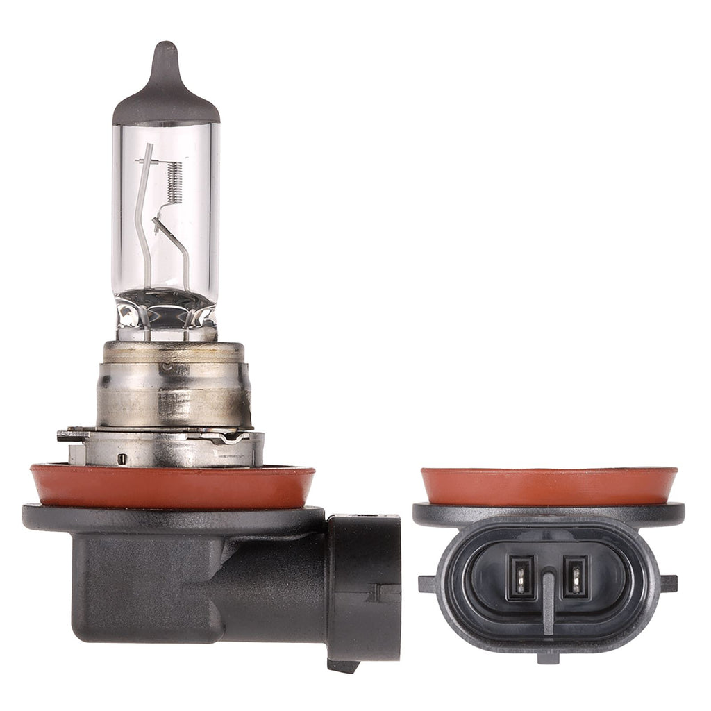 H11 24V 55W PLUS 100 LONG LIFE HEADLIGHT GLOBES(2) - 48740BL2