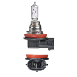 H16 12V 19W PGJ19-3 - BL - 48098BL
