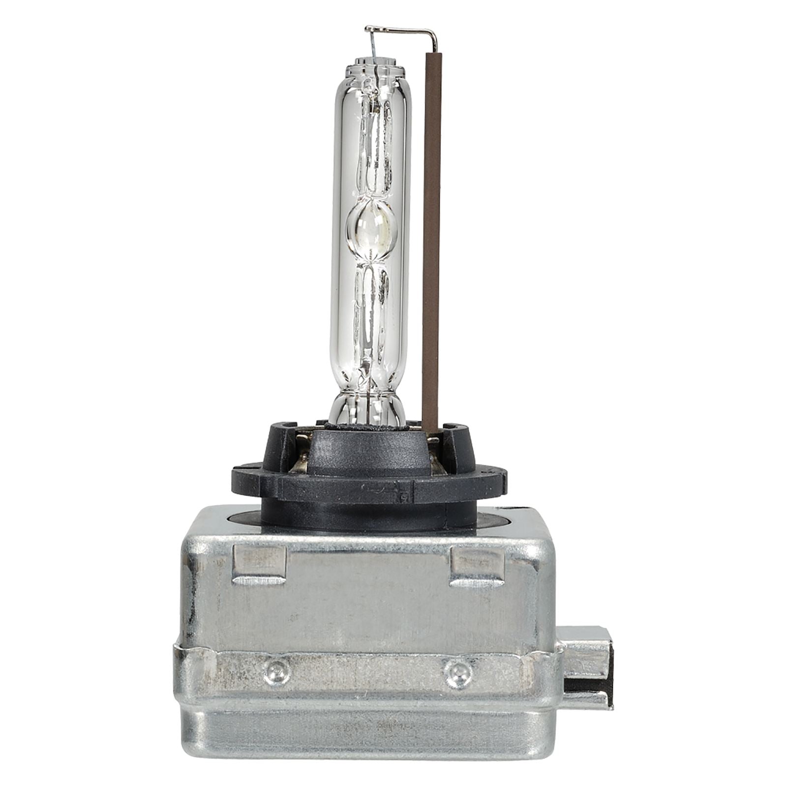 12/24V D1S 35W HID GLOBE BL1 - 49304BL