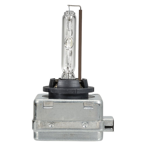 12/24V D1S 35W HID GLOBE BL1 - 49304BL