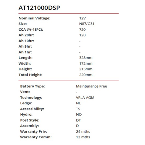 AMP-TECH PLUS AGM DUAL PURPOSE - AT121000DSP