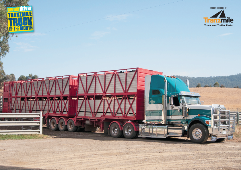 TTOTM Mar 19 International Eagle Header